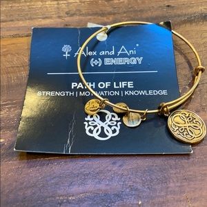 New Alex & Ani Bracelet
